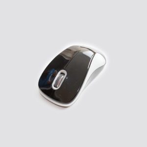 Mouse TRt-11