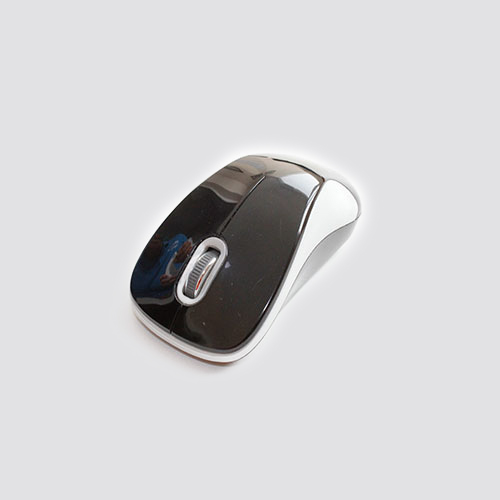 Mouse TRt-11