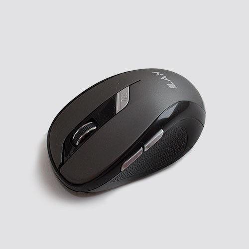 Mouse FR-01